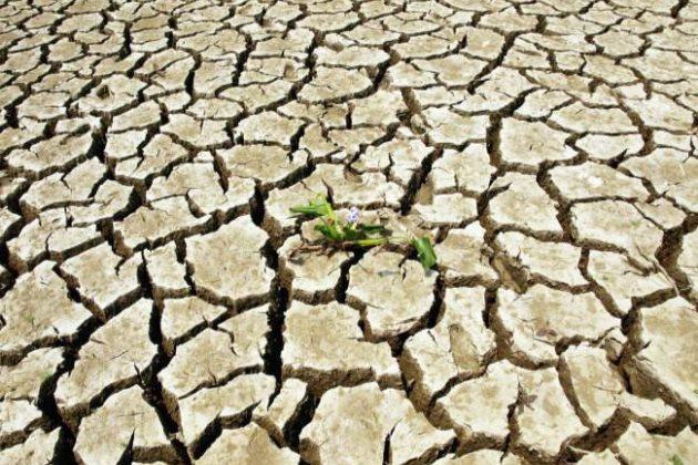 土壤板結(jié)問(wèn)題，這次終于講透了